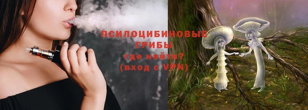ALPHA-PVP Богородицк