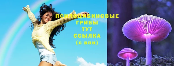 ALPHA-PVP Богородицк