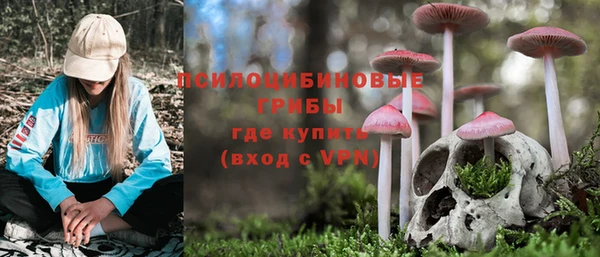 кокаин премиум Богданович