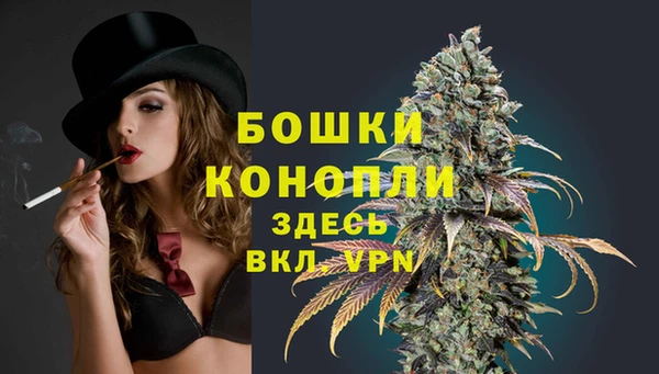 ALPHA-PVP Богородицк